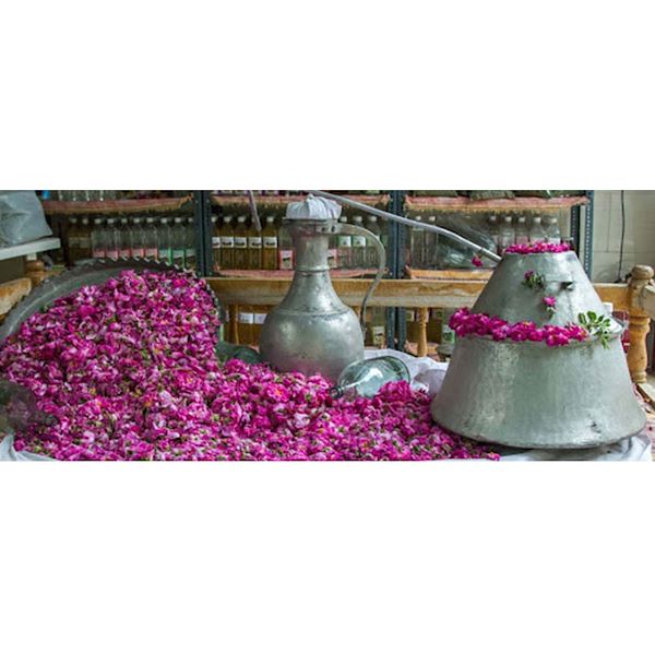فروشگاه آزرانی قیمت عمده گلاب در تهران